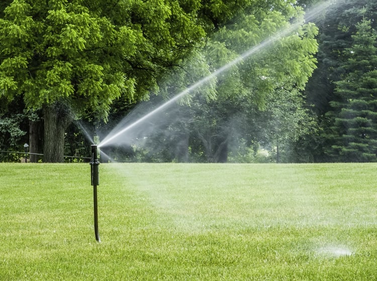 Tall sprinkler spraying lawn with long jet of water on college campus