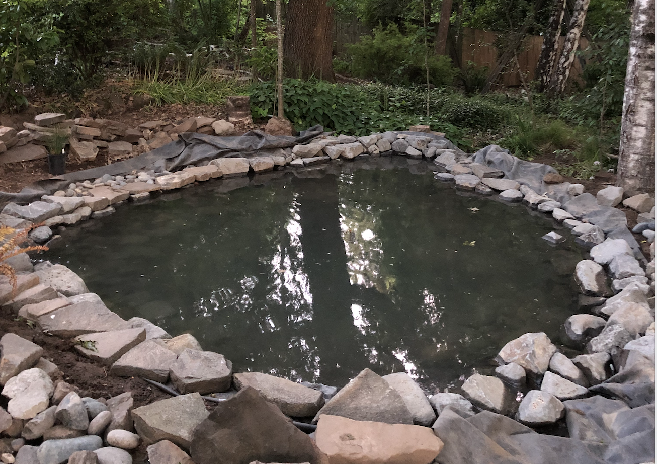 from Jeffs DIY pond project